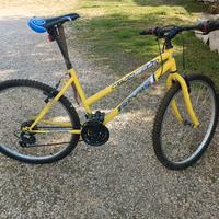 bicicletta mtb 26 