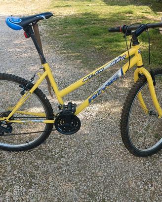 bicicletta mtb 26 