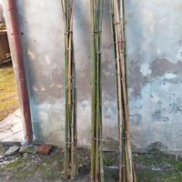 canne di bambu per orto