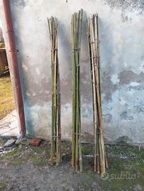 canne di bambu per orto
