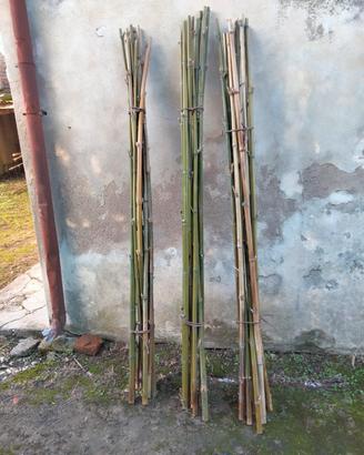 canne di bambu per orto