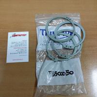 Seeger supporto disco post Speed daytona 955