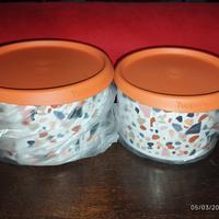 2 contenitori Tupperware 