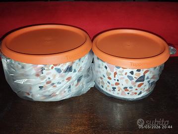 2 contenitori Tupperware 