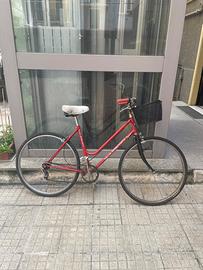 Bicicletta Bianchi vintage per telaio
