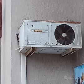 Vasca fresco ittico stocco baccalà