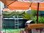 Immagine 15