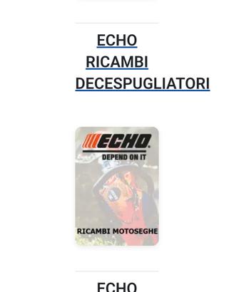 ricambi echo originali
