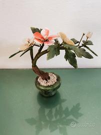 pianta bonsai vintage