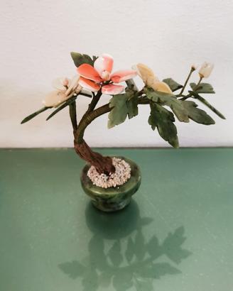 pianta bonsai vintage