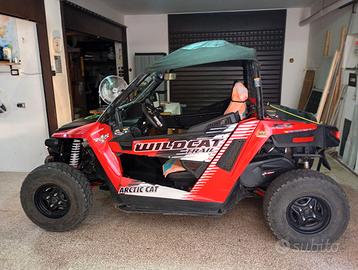 Buggy arctic cat 700 trail xt.