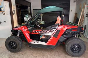Buggy arctic cat 700 trail xt.