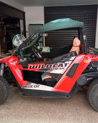 Buggy arctic cat 700 trail xt.