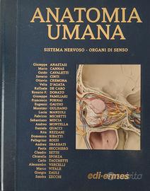 Anatomia umana edi-ermes