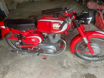 Moto Morini