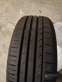 gomme estive 