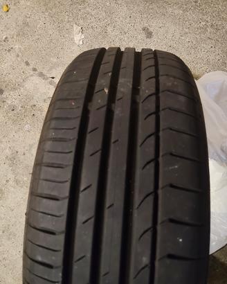 gomme estive 