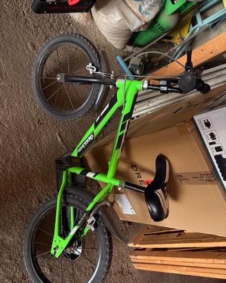Bicicletta