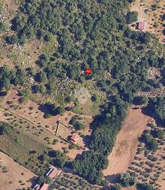 TER. AGRICOLO A PIANA DEGLI ALBANESI