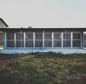 Struttura (4x8 m – 8 box) box cani