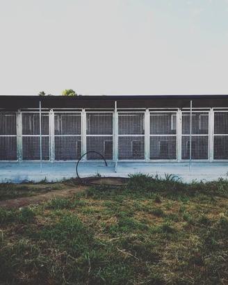 Struttura (4x8 m – 8 box) box cani