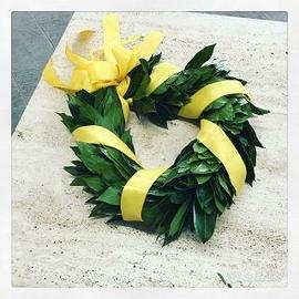 Lezioni di Economia, Matematica e Statistica