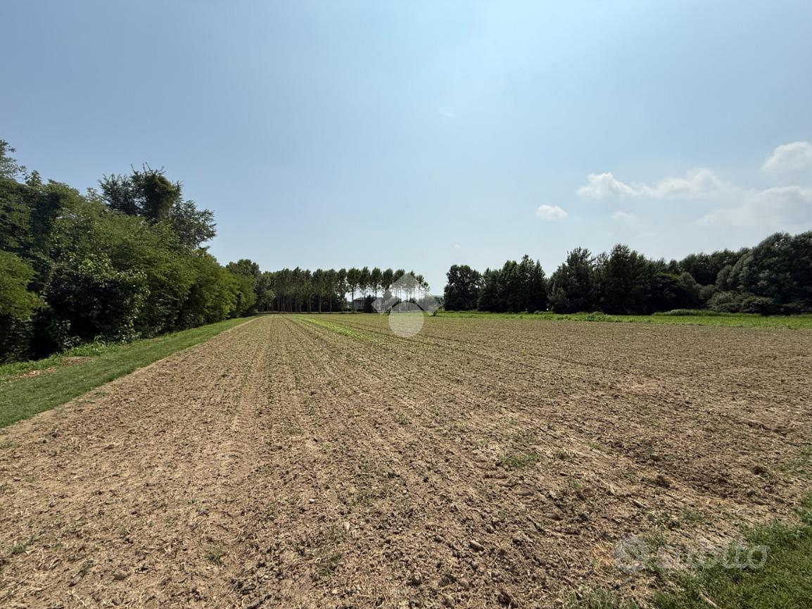 TER. AGRICOLO A SCORZÈ - Vista 2
