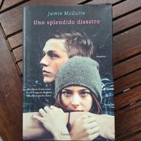 Uno splendido disastro. Jamie McGuire