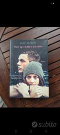 Uno splendido disastro. Jamie McGuire