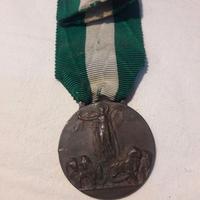 Medaglia- grande guerra mondiale