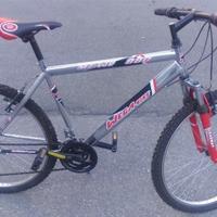 Mountain Bike Wega