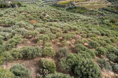 Terreno di 137580 m² a Furnari