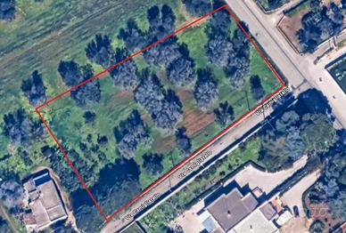 Terreno edificabile 3000 mq zona Torretta