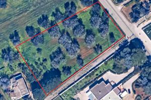 Terreno edificabile 3000 mq zona Torretta