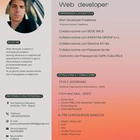 Junion developer