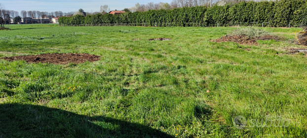 Terreno Agricolo seminativo