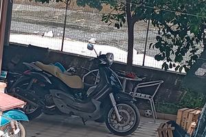 Beverly 500