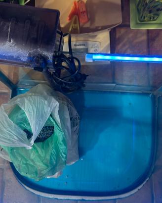 Acquario completo di tutto