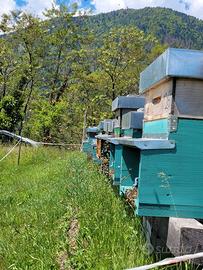 Materiali apicoltura