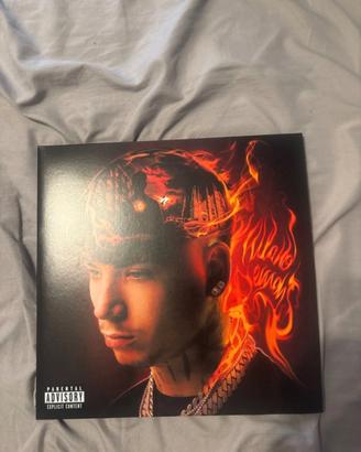 Vinile Shiva Milano Demons
