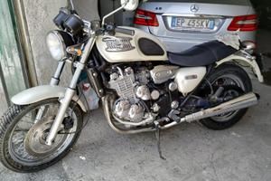 Triumph limited 309s