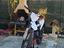 Immagine 1