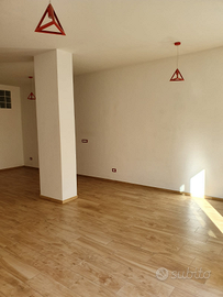 Appartamento 100 mq PT