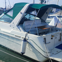 Sea ray 270 sundancer