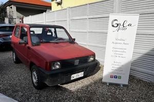 Fiat Panda 900 i.e. cat Young