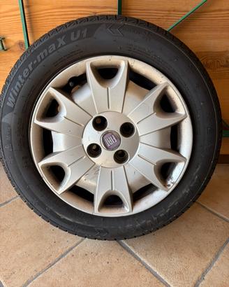 Gomme cerchi fiat panda