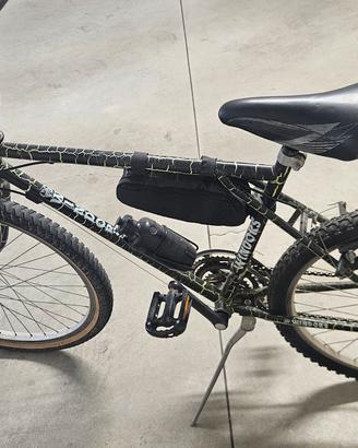 bicicletta 