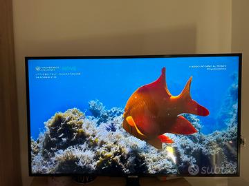 Samsung SmartTv 43 Pollici 4K