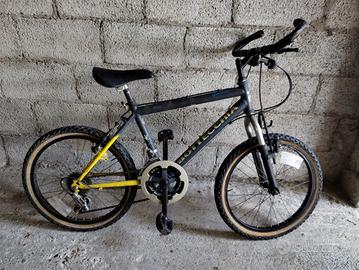bici mountain bike