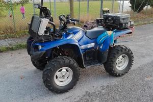 Yamaha grizzly 700 eps